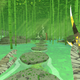 A first-person screenshot of the main character standing in a bamboo forest, shafts of light streaming from above.